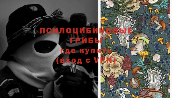винт Алексеевка