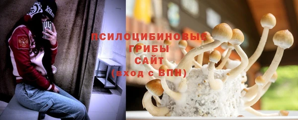 Альфа ПВП Алексин