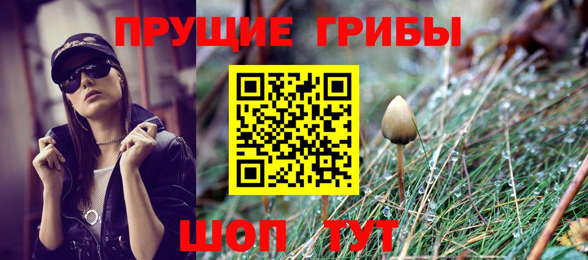 Галлюциногенные грибы прущие грибы  Вход с VPN  Гурьевск  Галлюциногенные грибы Psilocybine cubensis 